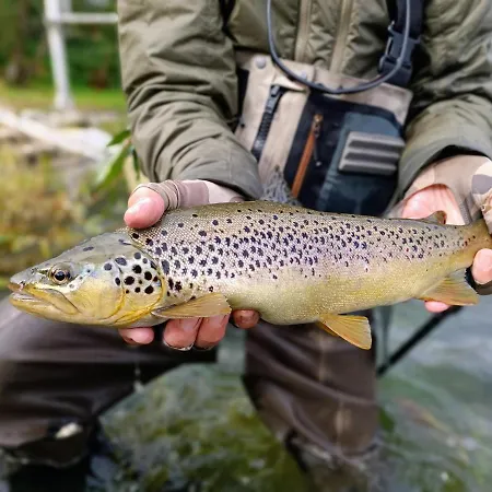 Hotel Krka River Znojile pri Krki