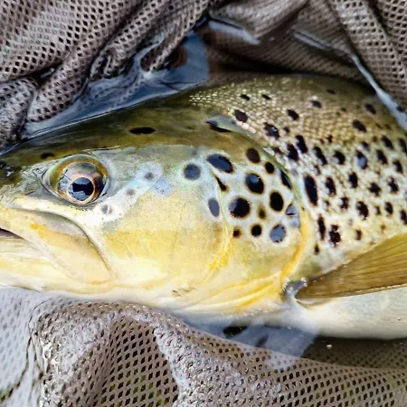 Отель Krka River