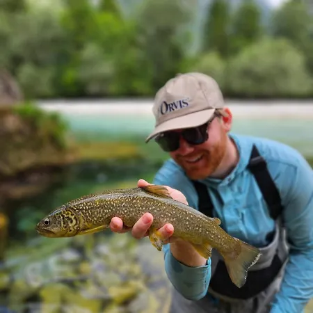 Krka River * Znojile pri Krki