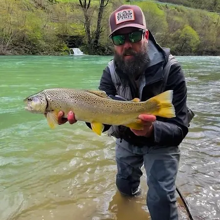Krka River Отель Znojile pri Krki