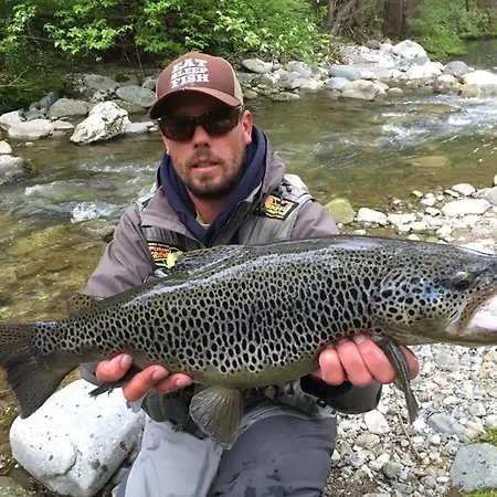Krka River Znojile pri Krki