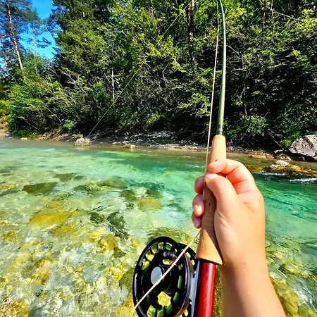 Отель Krka River *