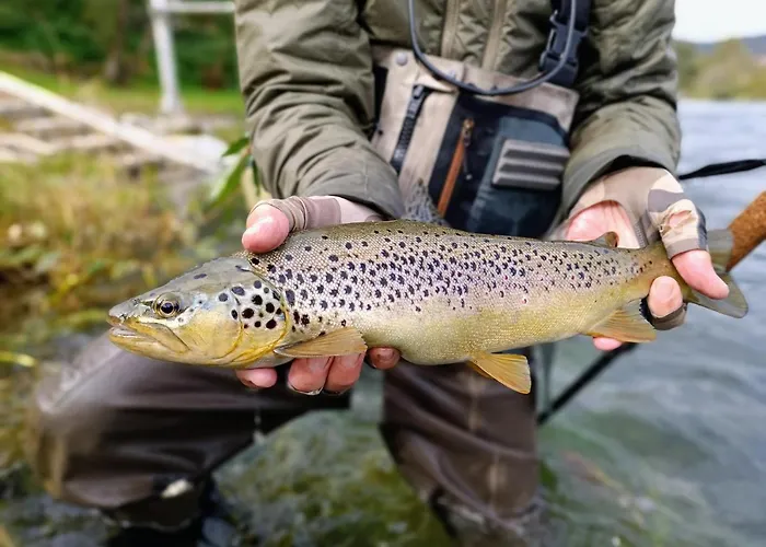 Ξενοδοχείο Krka River Znojile pri Krki