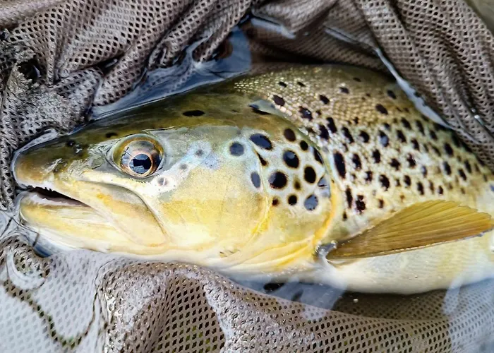 Ξενοδοχείο Krka River