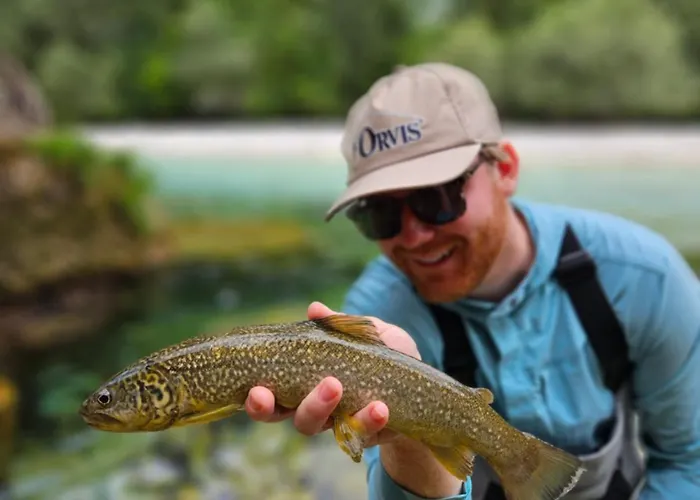 Krka River * Znojile pri Krki