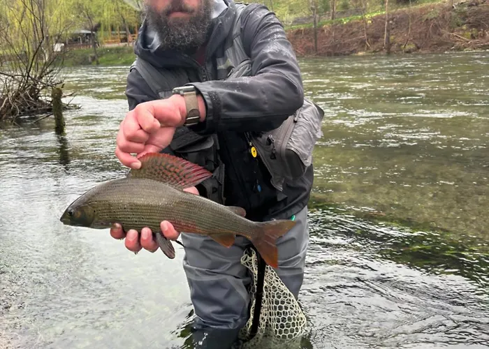 Krka River * Znojile pri Krki
