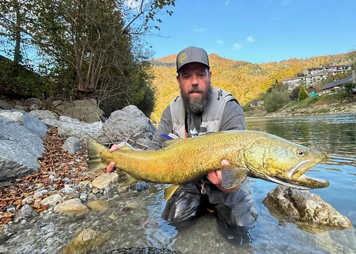 Krka River Znojile pri Krki