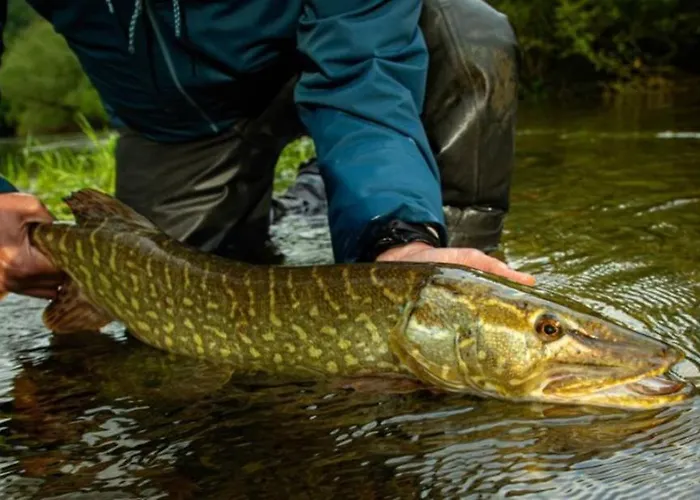 Ξενοδοχείο Krka River *