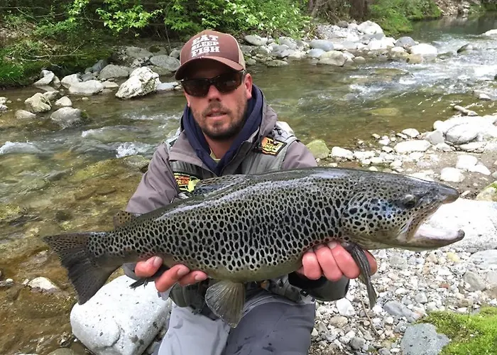 Krka River Znojile pri Krki