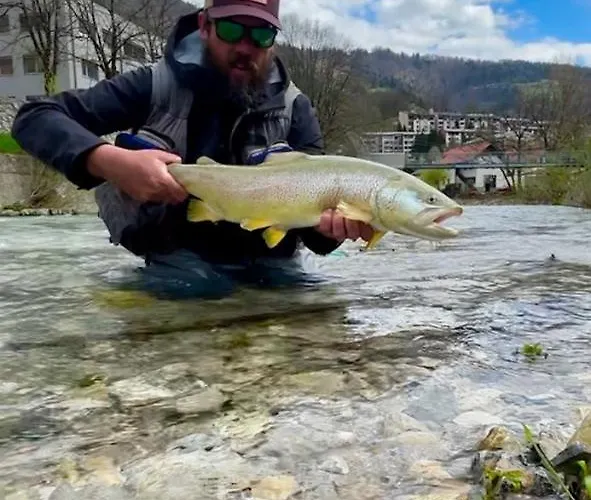 Krka River * Znojile pri Krki